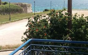 Nestor Sea Studio